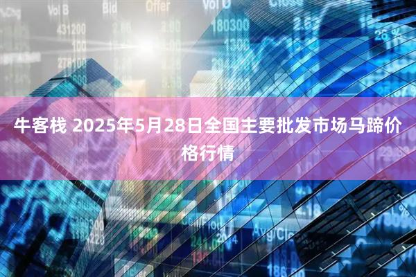 牛客栈 2025年5月28日全国主要批发市场马蹄价格行情