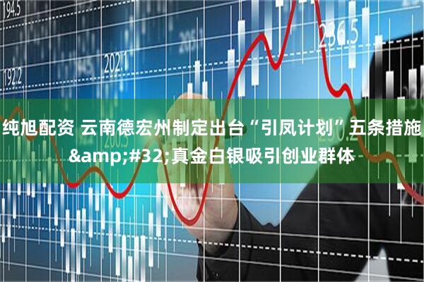 纯旭配资 云南德宏州制定出台“引凤计划”五条措施&#32;真金白银吸引创业群体
