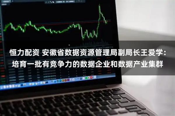 恒力配资 安徽省数据资源管理局副局长王爱学：培育一批有竞争力的数据企业和数据产业集群