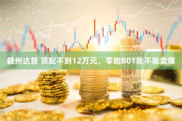 赣州达慧 顶配不到12万元，零跑B01能不能卖爆