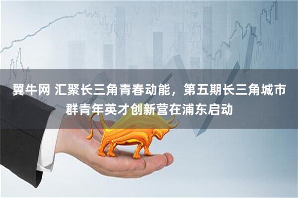 翼牛网 汇聚长三角青春动能，第五期长三角城市群青年英才创新营在浦东启动