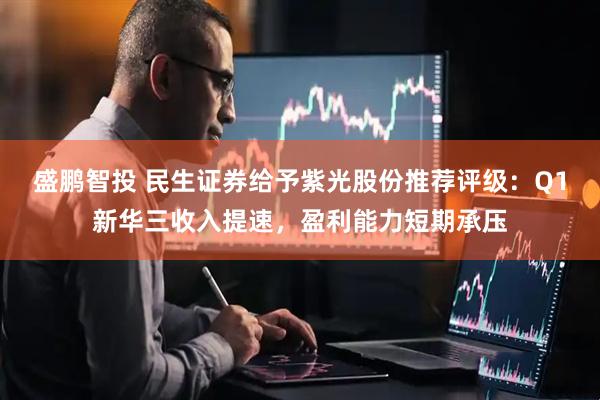 盛鹏智投 民生证券给予紫光股份推荐评级：Q1新华三收入提速，盈利能力短期承压