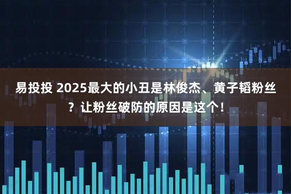 易投投 2025最大的小丑是林俊杰、黄子韬粉丝？让粉丝破防的原因是这个！