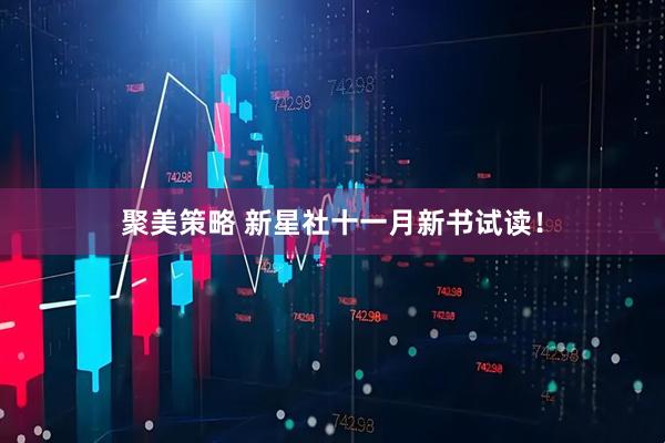 聚美策略 新星社十一月新书试读！